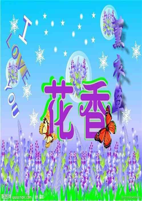 薰衣草和夏天电影