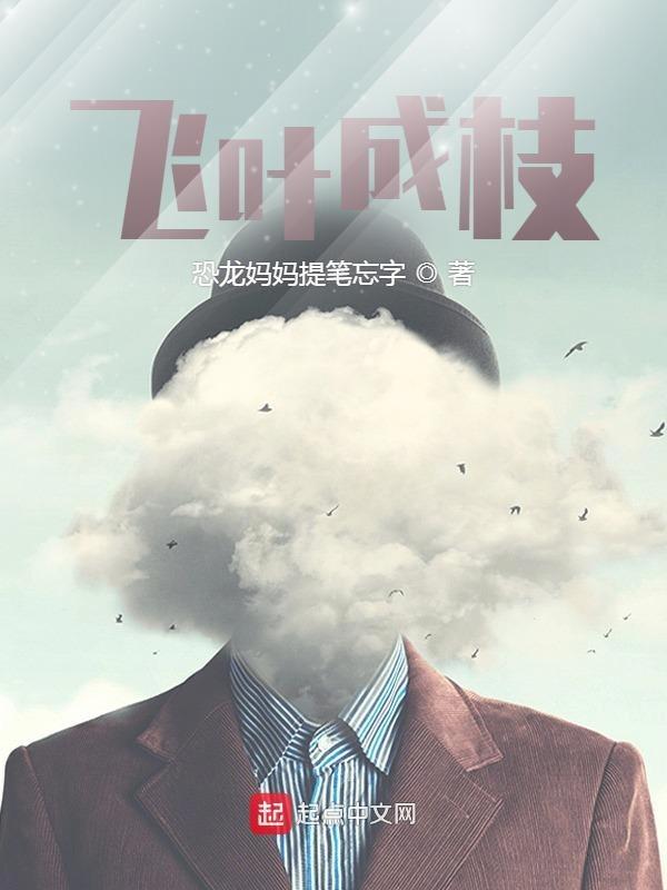飞叶概念是什么