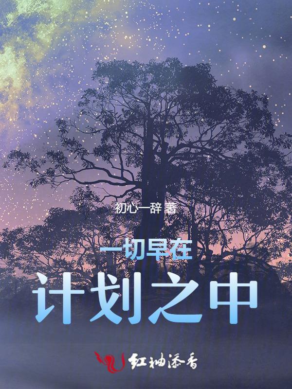 一切都在我的计划之中