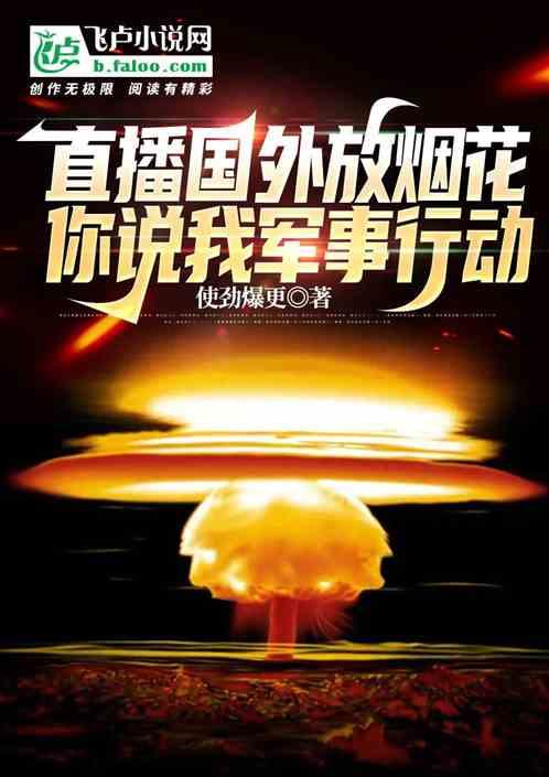 国外小哥放烟花