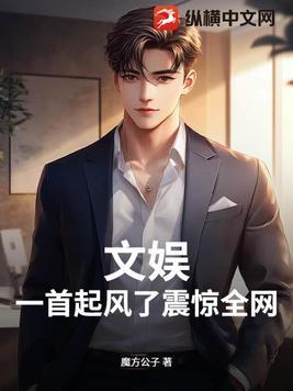 起了风歌曲