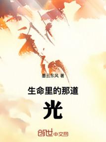 生命中的那道光作文600字