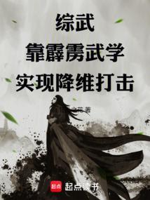 综武靠霹雳武学实现降维打击全文阅读