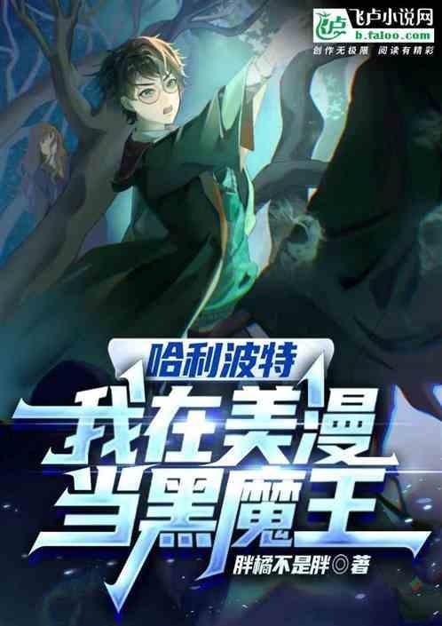 我在哈利波特当教授