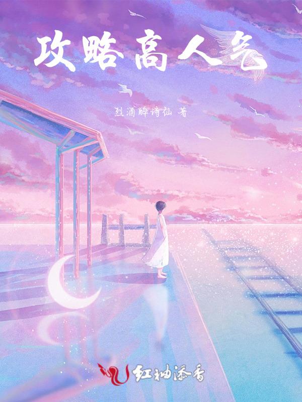 攻略流