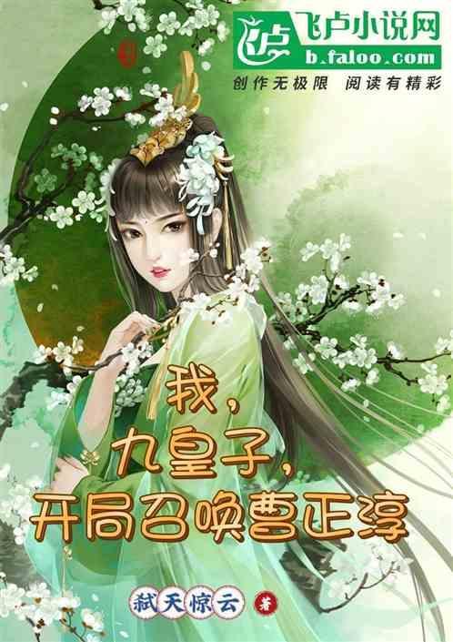 主角是九皇子赵