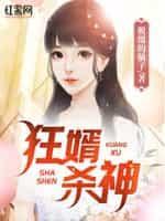 狂婿丹神
