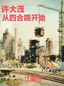 四合院我是许大茂彻底黑化笔趣阁