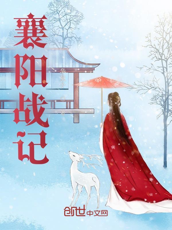 襄阳战记二十六章