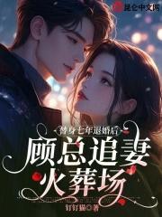 替嫁甜妻顾少霸爱追妻