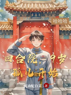 四合院从九级