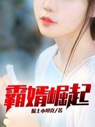 霸婿崛起最新章节sodu