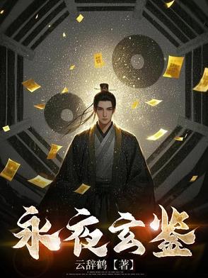 玄阳永夜评价