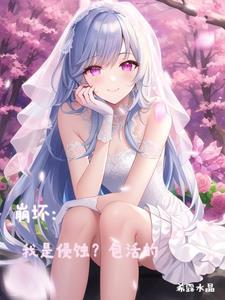 我是崩坏意志的另一半