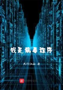 我是病毒程序