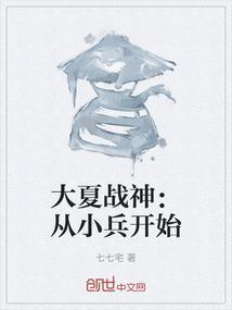 大夏战神：从小兵开始