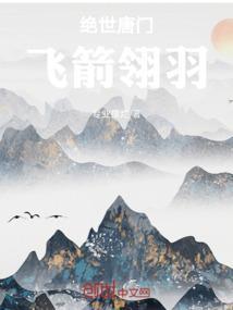 绝世唐门飞箭翎羽