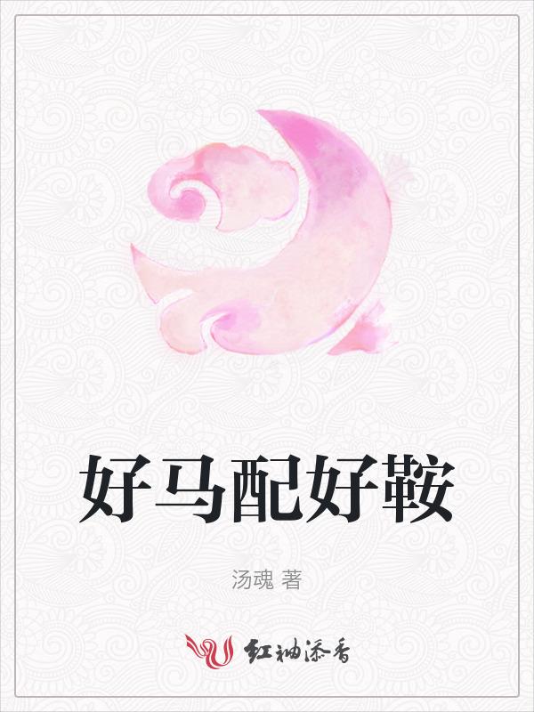 好马配好鞍