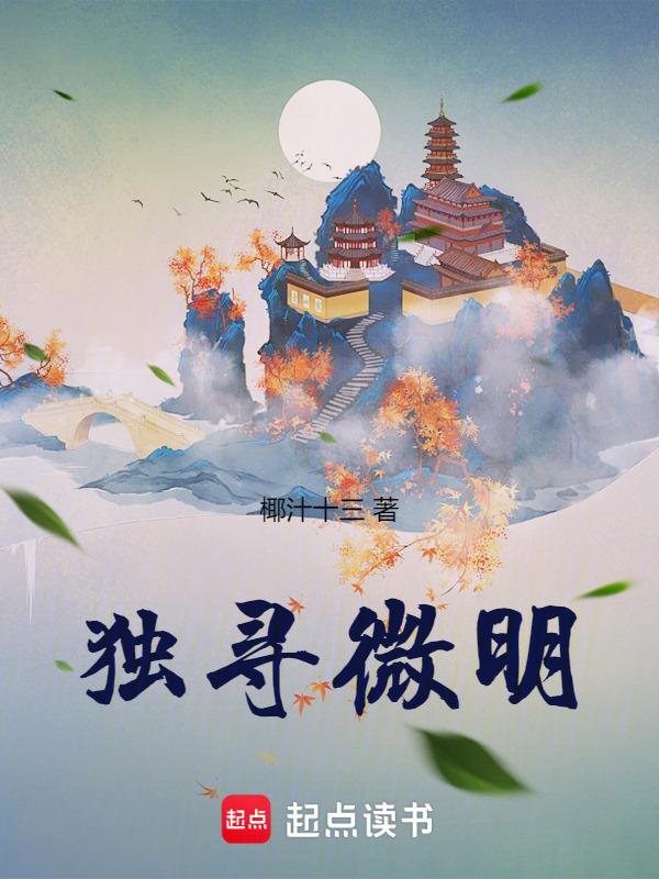 独寻微明