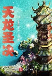 天龙圣决