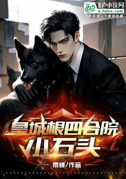 皇城根四合院小石头