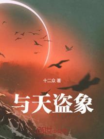 与天盗象