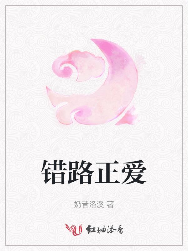 错路正爱