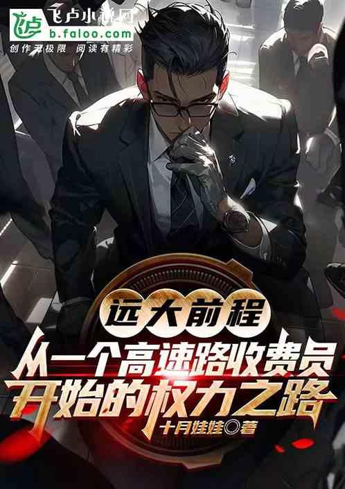 从一个高速收费员开始的权力之路