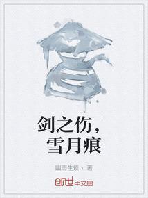 剑之伤，雪月痕