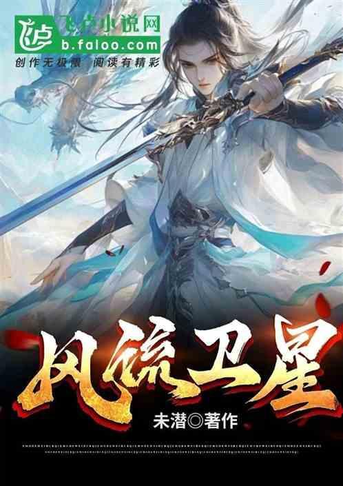 风流卫星