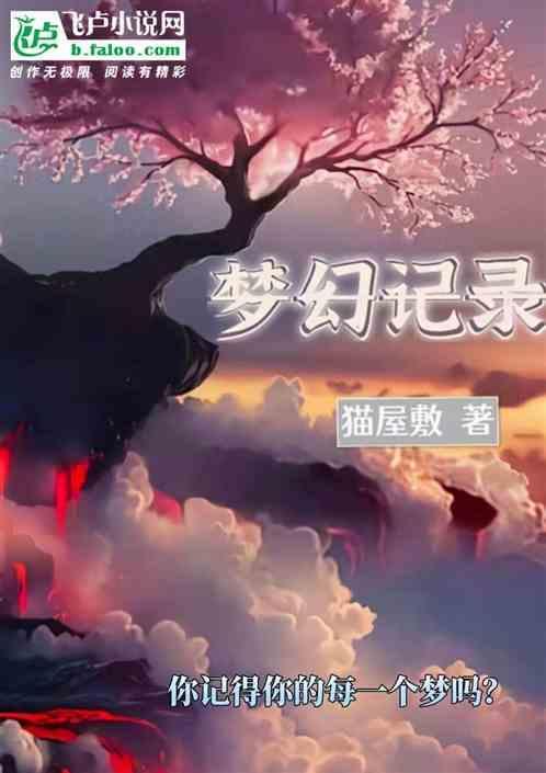 梦幻记录