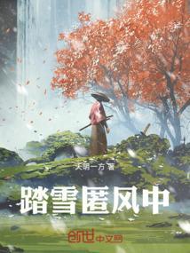 踏雪匿风中