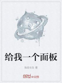给我一个面板