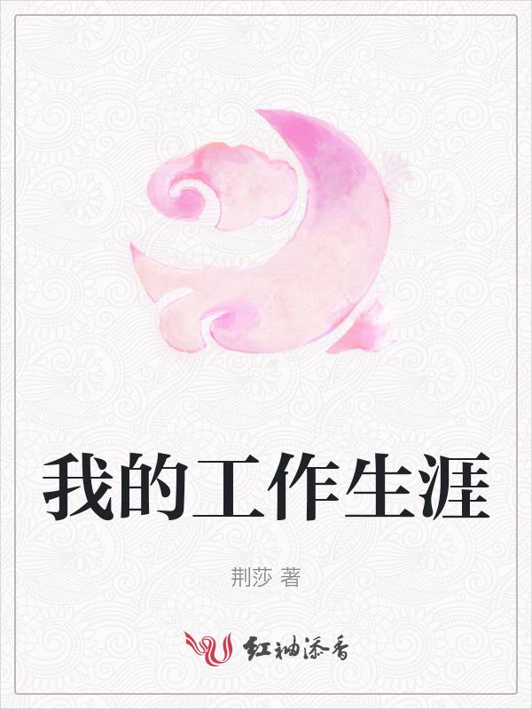 我的工作生涯