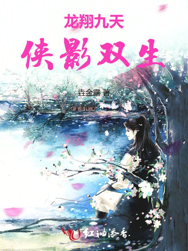 龙翔九天：侠影双生