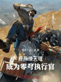 开局揍天理，成为零号执行官